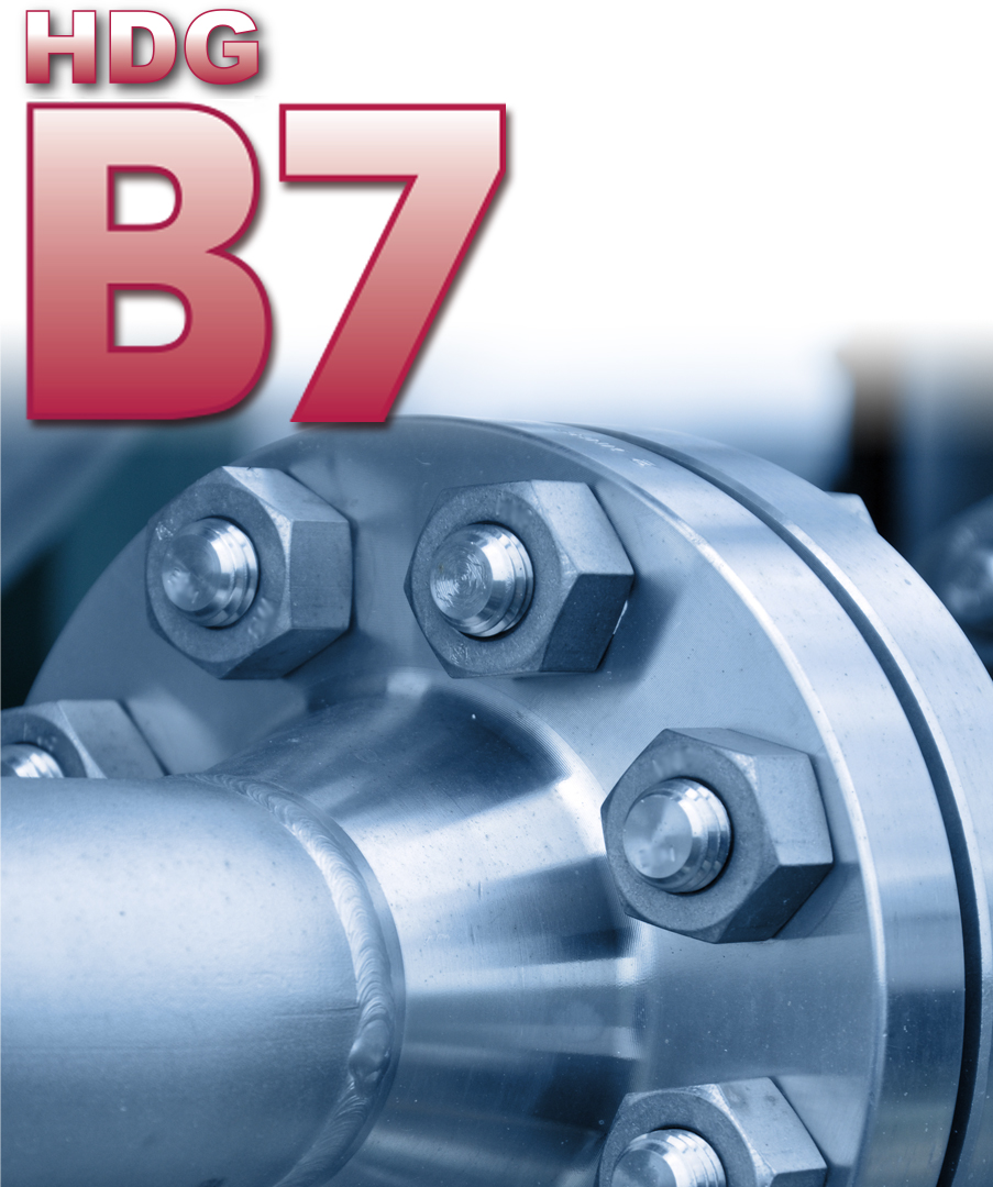 HDG B7